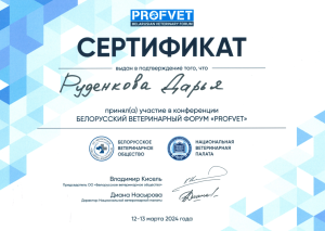 Сертификат_Руденкова_13.03.2024-1