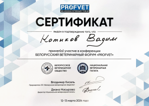 Котиков Сертификат 13.03.2024