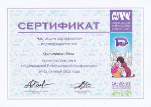 Сертификат NVC 2022