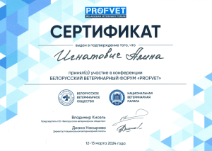 Сертификат_Игнатович_13.03.2024-1