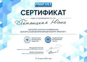 Сертификат_Петлицкая_13.03.2024-1