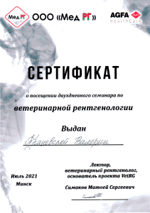 certificate_3_tratsevskaia