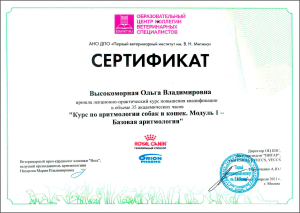 certificate_64_Vysokomornaya
