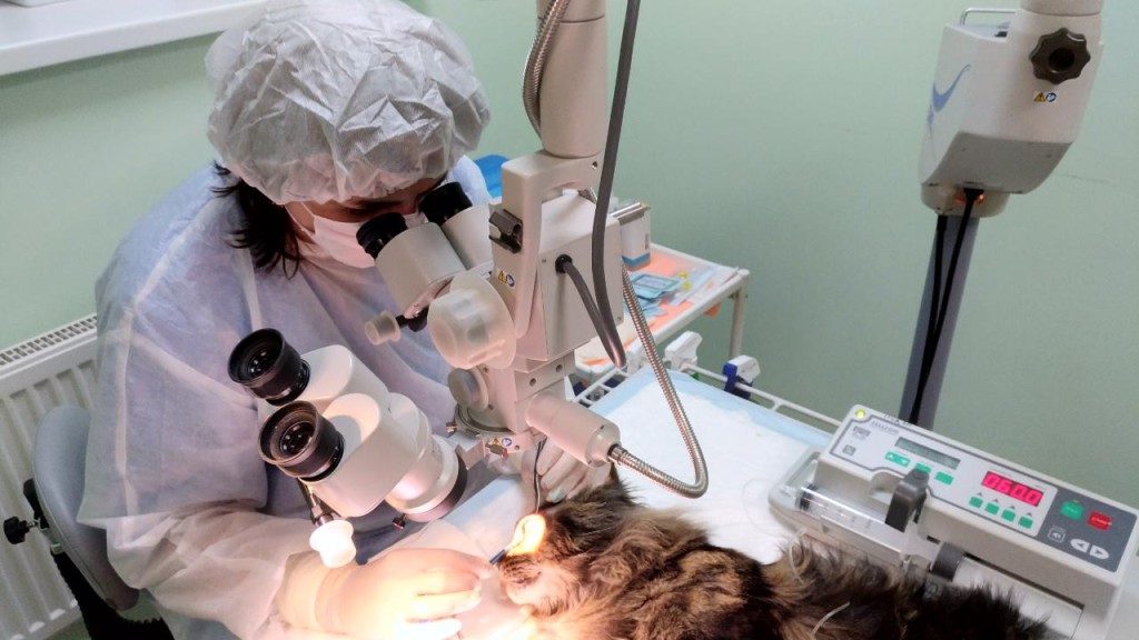 микрохирургия глаза, лечение катаракты