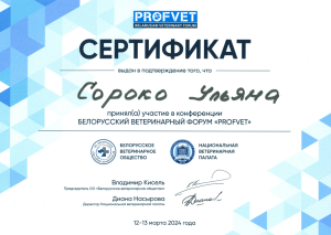 Сертификат_Сороко_13.03.2024-1