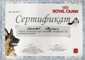 certificate_37_Kotikov