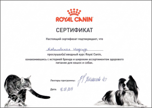 certificate_94_Kovalevskaya