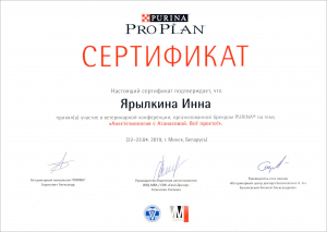 certificate_111_Yarylkina