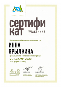 certificate_113_Yarylkina