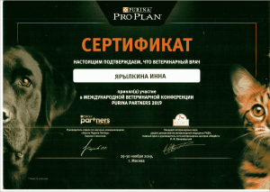 certificate_116_Yarylkina