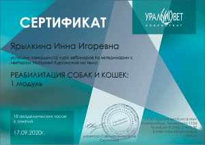 certificate_108_Yarylkina