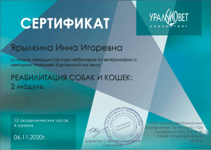 certificate_109_Yarylkina