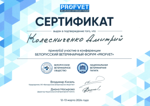 Сертификат_Колесниченко_13.03.2024-1