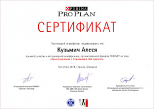 certificate_1_Kusmich