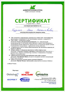 certificate_2_Kusmich