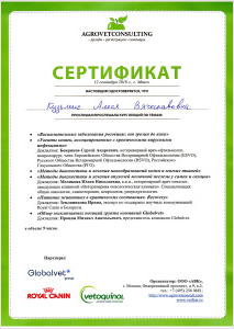 certificate_3_Kusmich