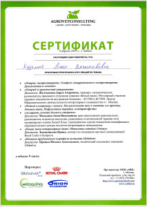 certificate_4_Kusmich