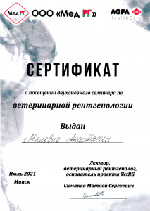 certificate_6_Malevich