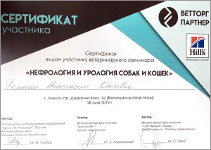 certificate_2_Antanevich