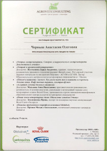 certificate_3_Antanevich