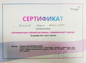 Сертификат Котиков