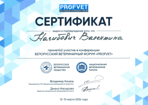 Сертификат_Нагибович_13.03.2024-1