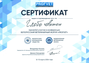 Сертификат_Глобо_13.03.2024-1