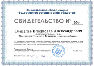 Вензелев В.А. - БВО (2026)