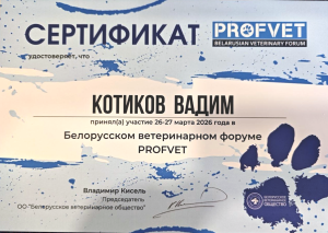 Котиков - Profvet (26-27.03.26)