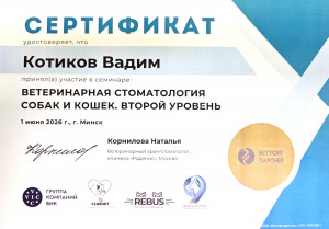 Котиков - ветеринарная стоматология собак и кошек. второй уровень