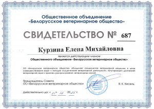 Курзина Е.М. - БВО (2026)