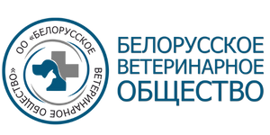 Logo_bvo_200_100_piks._1_1x