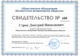 Строк Д.Н. - БВО (2026)