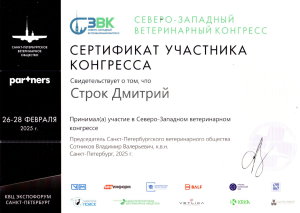 Строк Д.Н. - Сев.зап. конгресс (февраль 25)