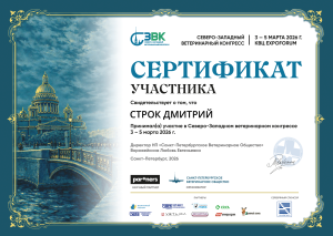 Строк Д.Н. - северо-западный конгресс (03-05.03.2026)