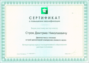 certificate_16_Strok