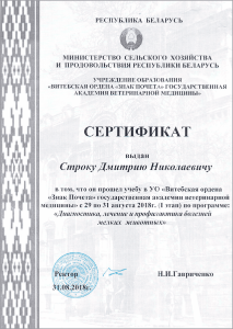certificate_17_Strok