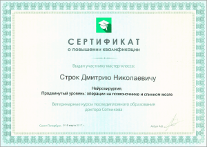 certificate_22_Strok
