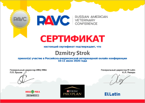certificate_24_Strok