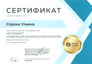 Сороко-конференция по нефрологии и урологии (27.09.23)
