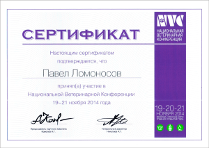 certificate_11_Lomonosov