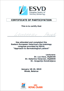 certificate_13_Lomonosov