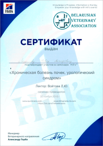 certificate_6_Lomonosov