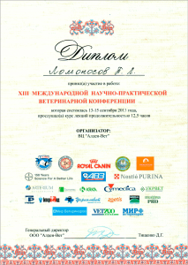 certificate_8_Lomonosov