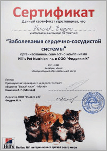 certificate_38_Kotikov