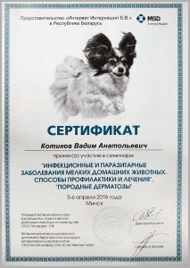 certificate_39_Kotikov