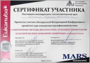 certificate_40_Kotikov