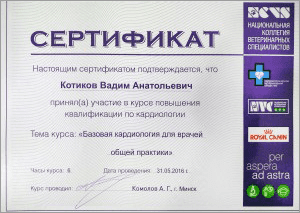 certificate_42_Kotikov