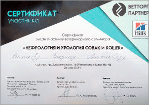 certificate_43_Kotikov