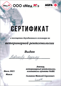 certificate_44_Kotikov